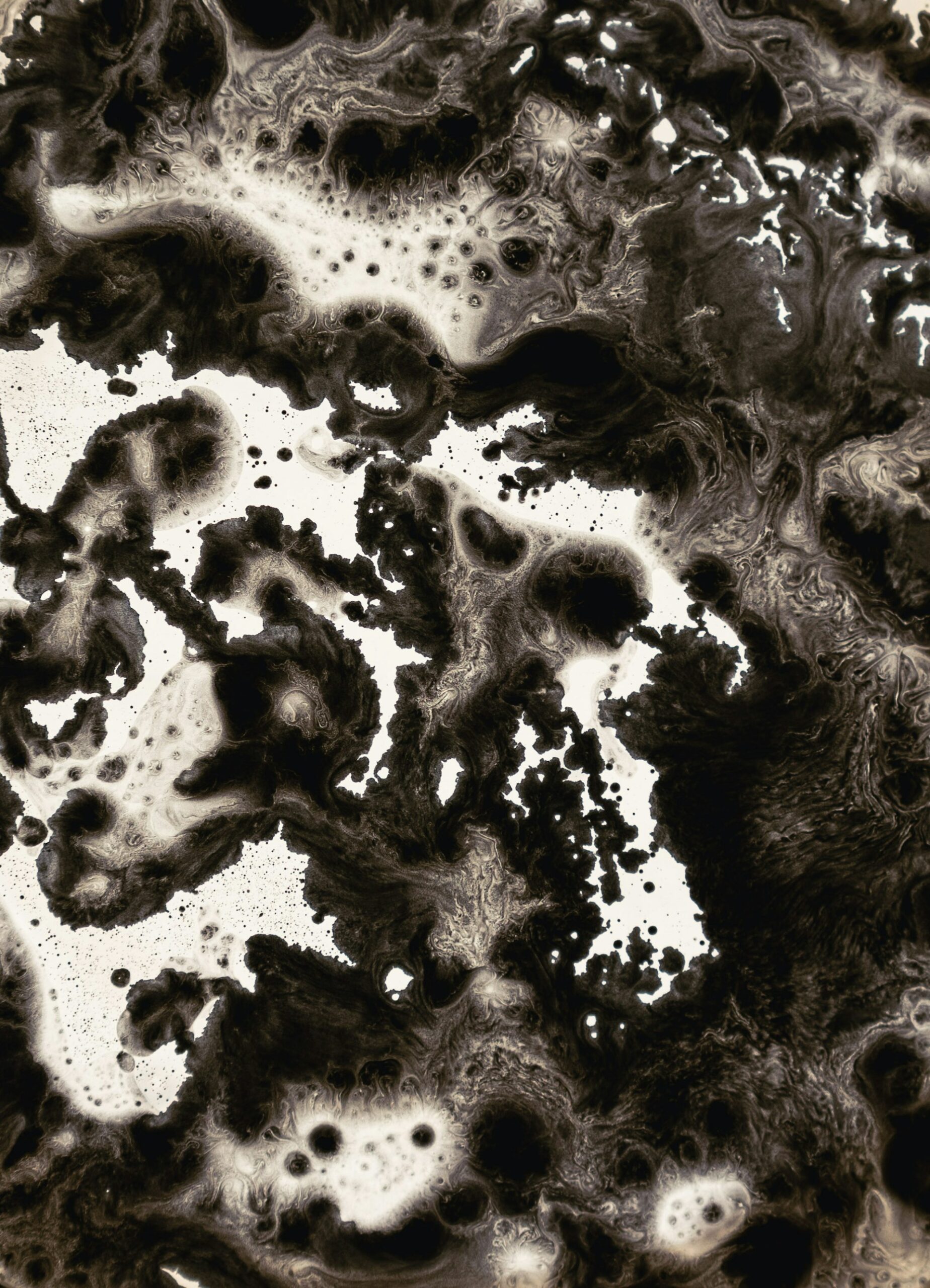 Extreme close-up of black mold growth spreading across a surface — the type of toxic mold DryMetrics eliminates in Florida homes and businesses
